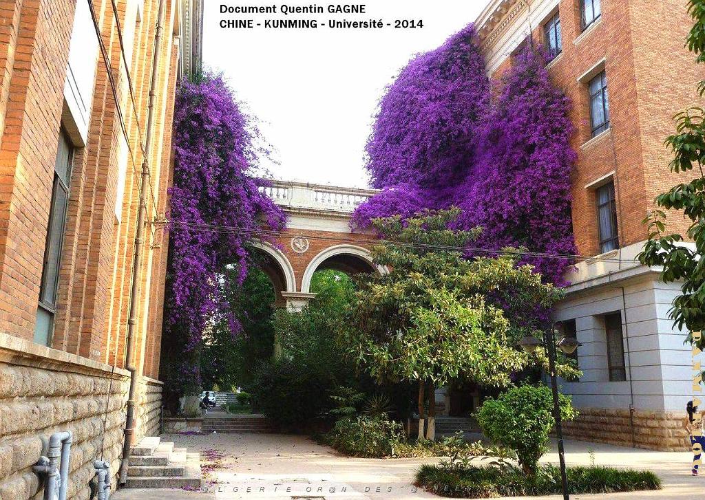 097-Quentin - Kunming .JPG
